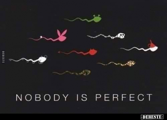 NOBODY IS PERFECT