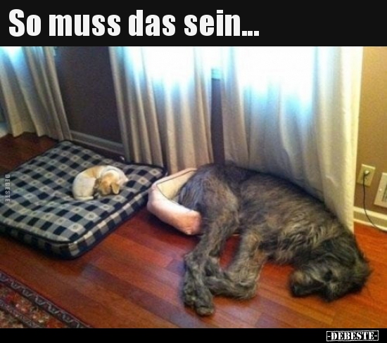 So muss das sein...