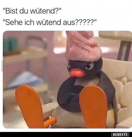 "Bist du wütend?" "Sehe ich wütend aus?????"