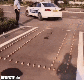  - Lustige Bilder | DEBESTE.de