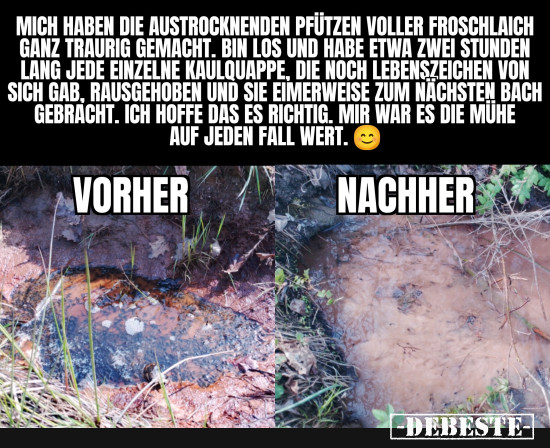 Auch wenn es kein Wal ist, sie leben. - Lustige Bilder | DEBESTE.de