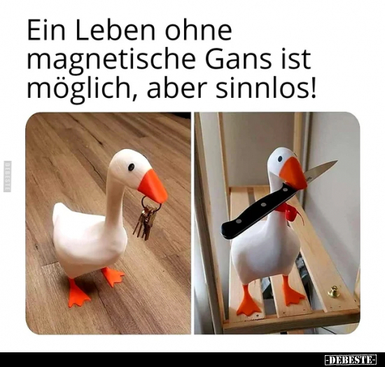 Ein Leben ohne magnetische Gans ist möglich, aber.. - Lustige Bilder | DEBESTE.de