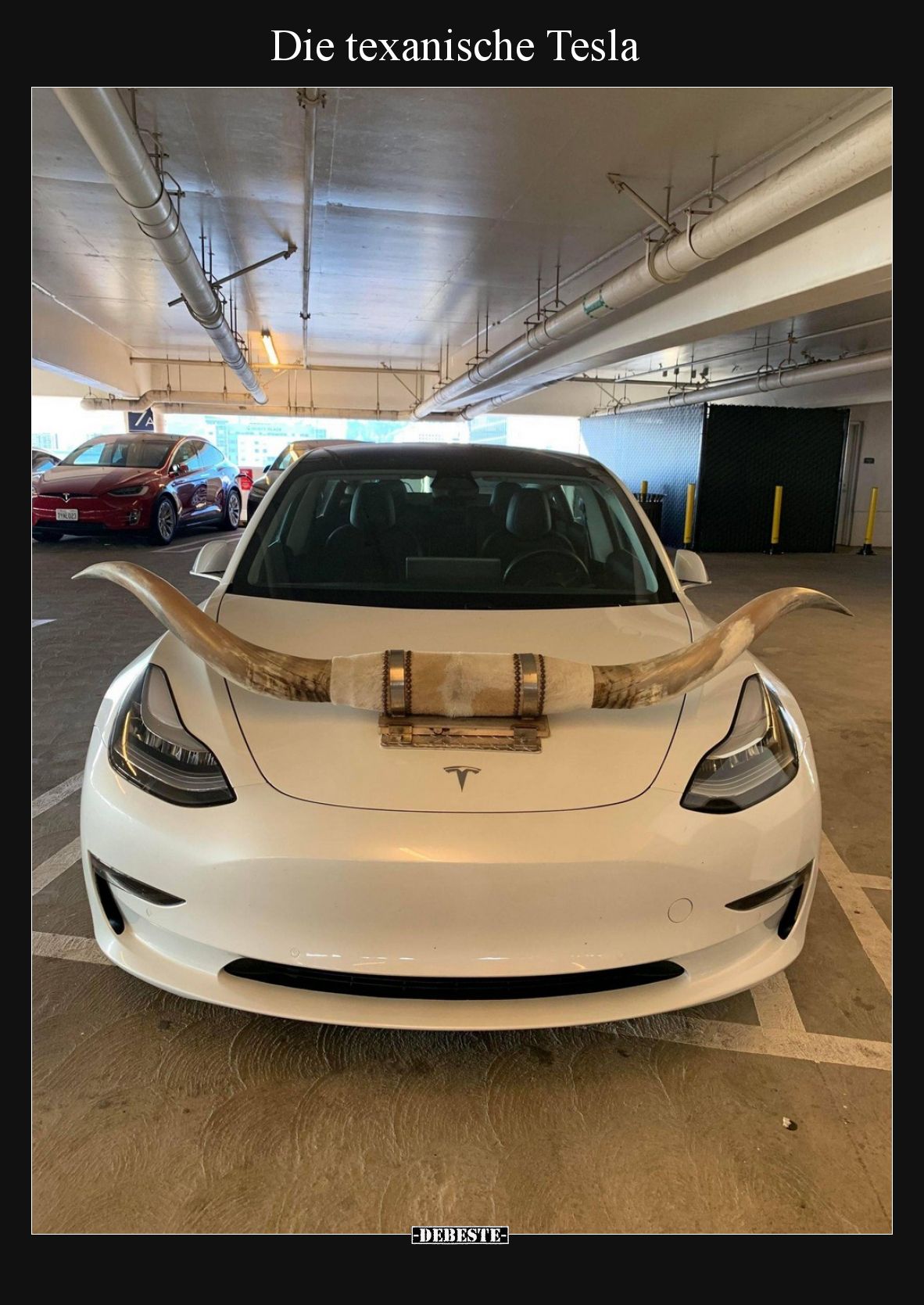 Die texanische Tesla