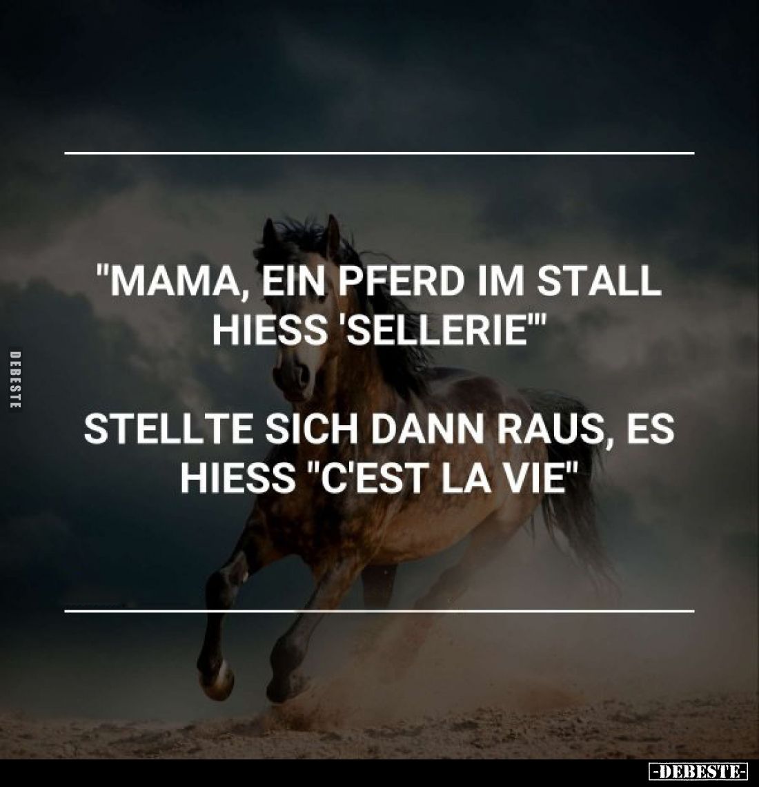 "Mama, ein Pferd im Stall hiess 'Sellerie'"
Stellte sich dann raus, es hiess "C'est la vie"