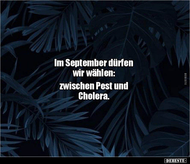 Im September dürfen wir wählen: zwischen Pest und.. - Lustige Bilder | DEBESTE.de