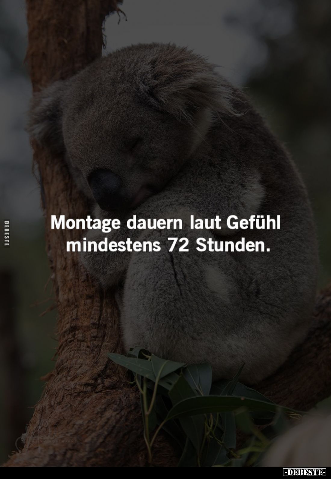 Montage dauern laut Gefühl mindestens 72 Stunden.