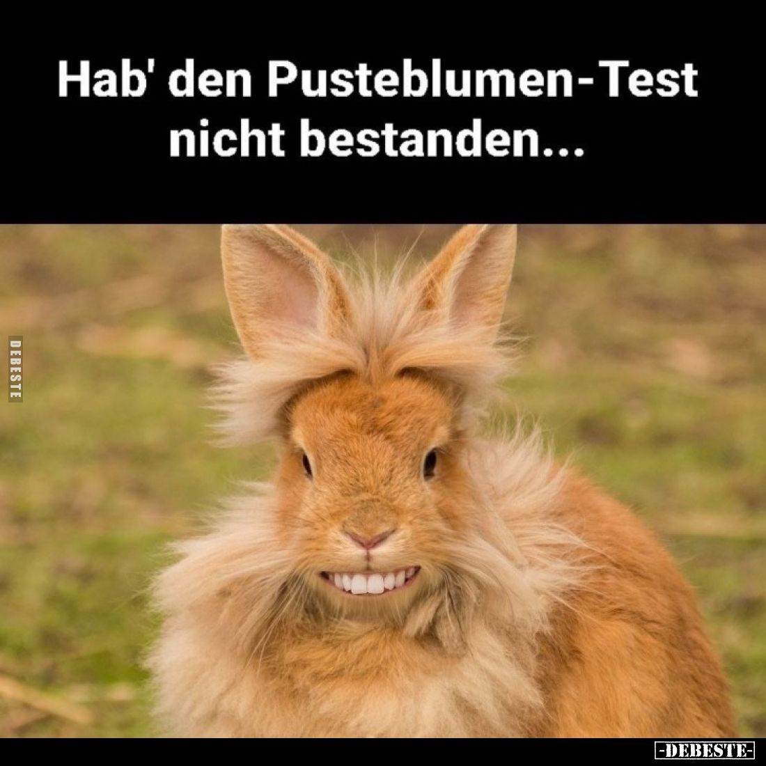 Hab' den Pusteblumen-Test nicht bestanden...