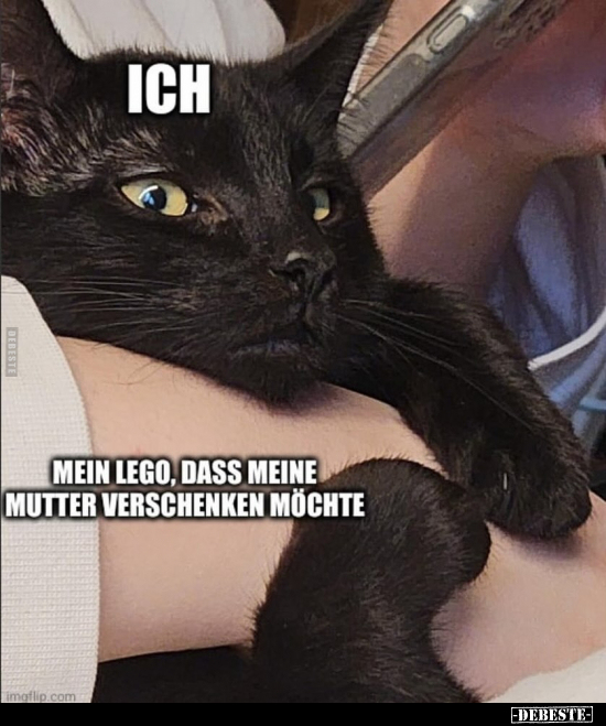 Ich/ mein Lego, dass meine Mutter verschenken möchte.. - Lustige Bilder | DEBESTE.de