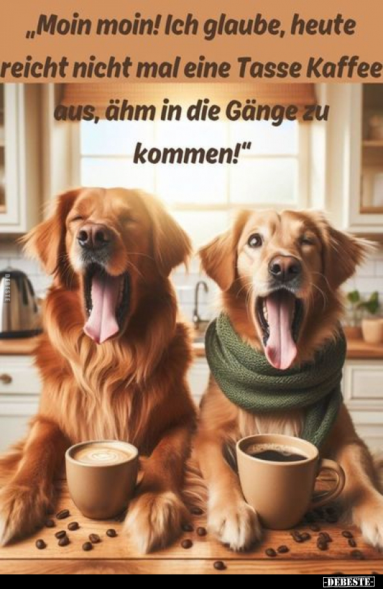"Moin moin! Ich glaube, heute reicht nicht mal eine Tasse.." - Lustige Bilder | DEBESTE.de