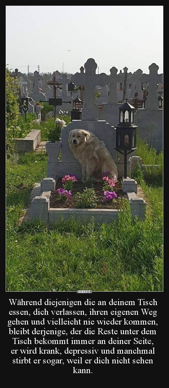Während diejenigen die an deinem Tisch essen, dich..