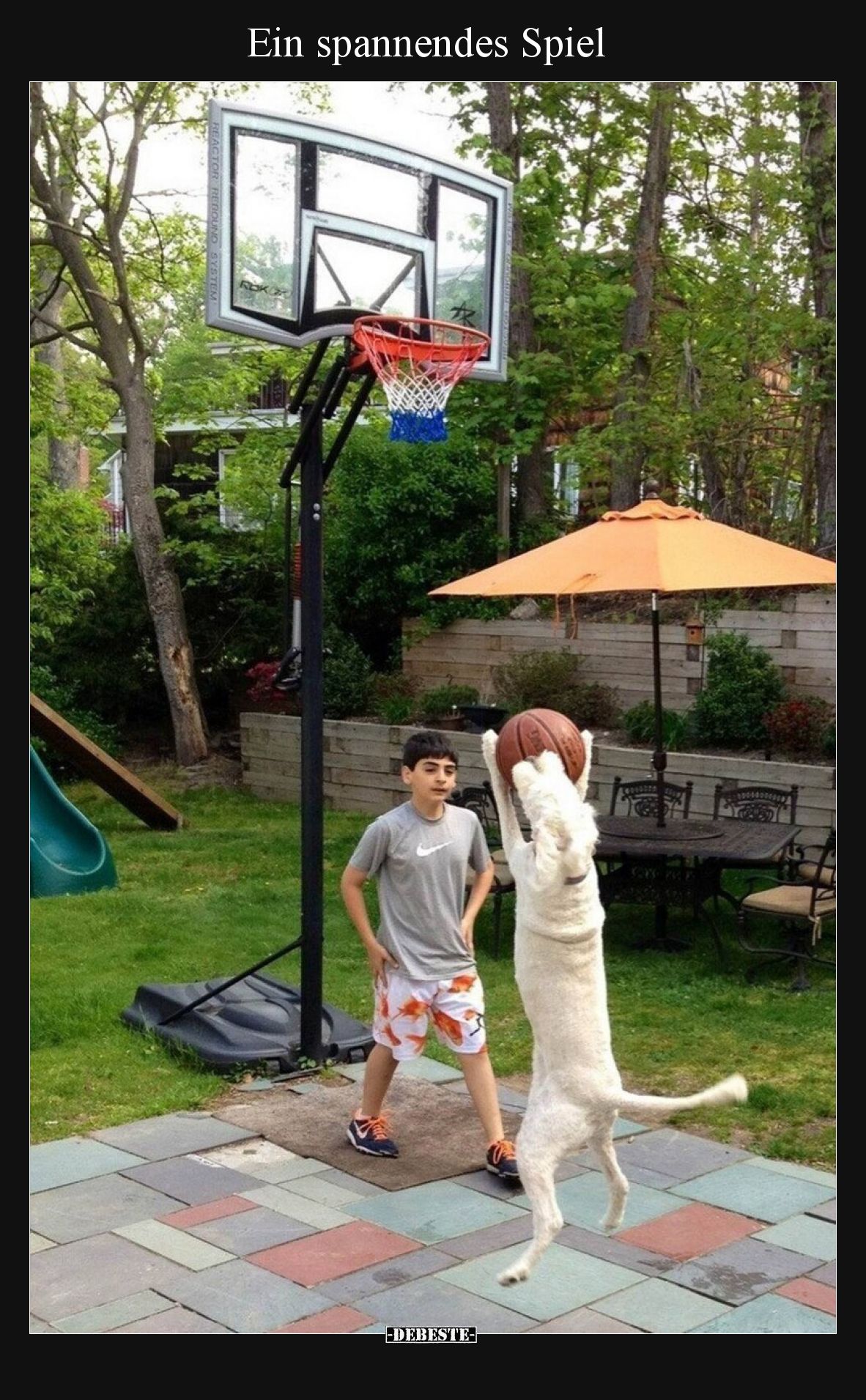 Ein spannendes Spiel