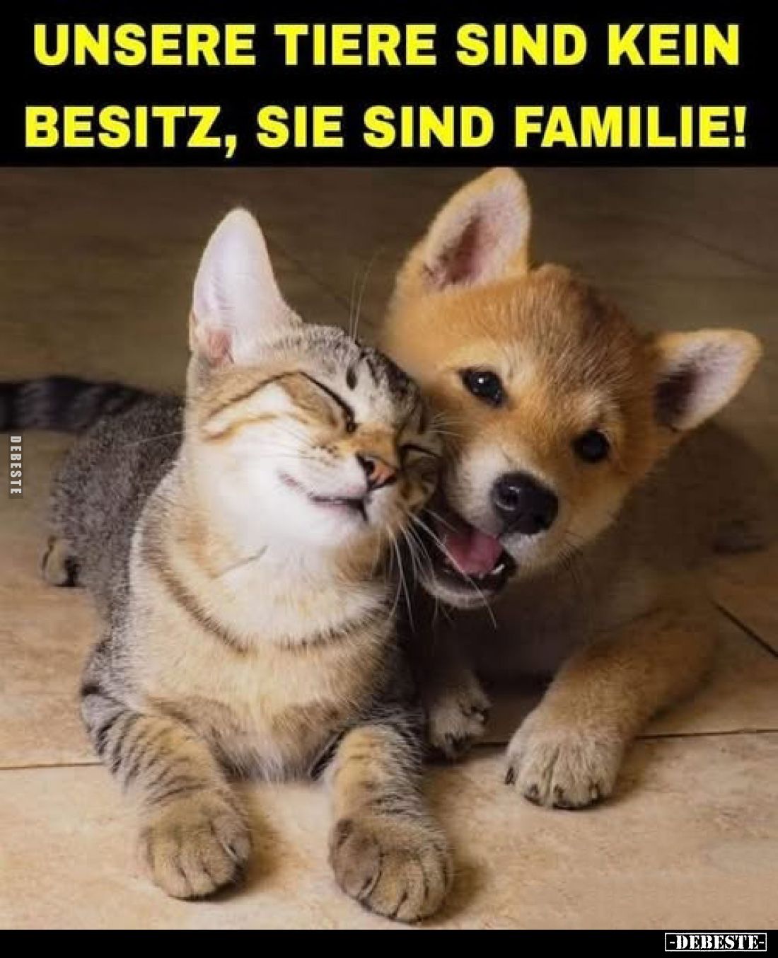 Unsere Tiere sind kein Besitz, sie sind Familie!