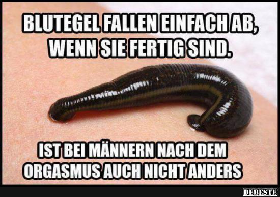Blutegel fallen einfach ab, wenn sie fertig sind...
