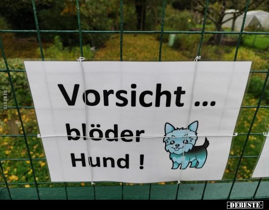 Vorsicht... blöder Hund!.. - Lustige Bilder | DEBESTE.de