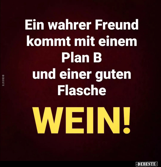 Ein wahrer Freund kommt mit einem Plan B.. - Lustige Bilder | DEBESTE.de