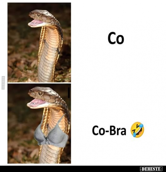 Co-Bra.