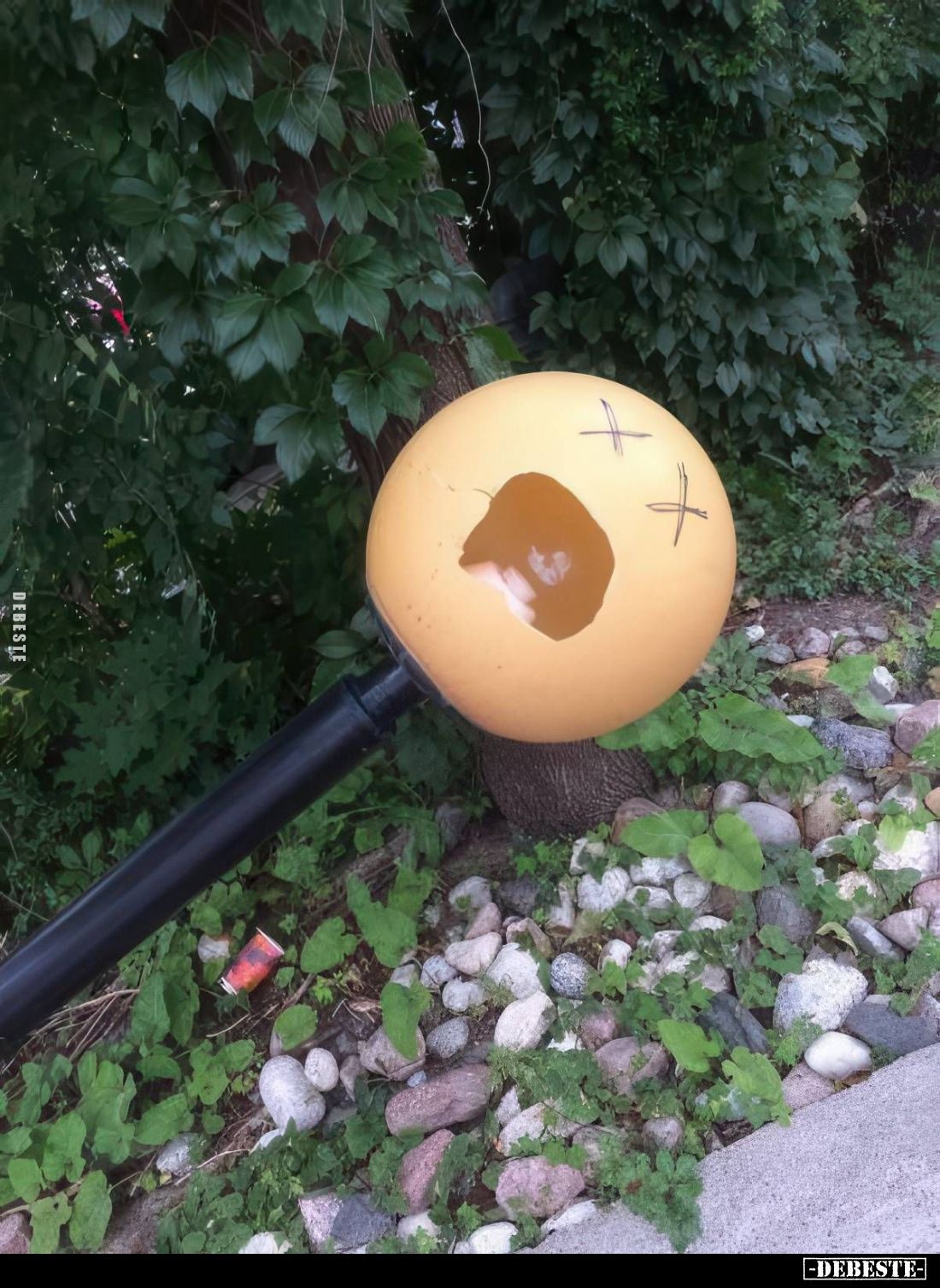 Dinge mit Gesicht