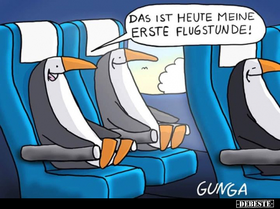 Das ist heute meine erste Flugstunde!.. - Lustige Bilder | DEBESTE.de