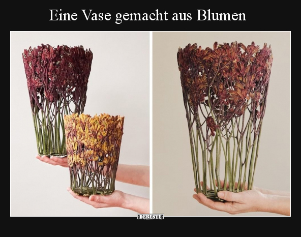 Eine Vase gemacht aus Blumen.. - Lustige Bilder | DEBESTE.de