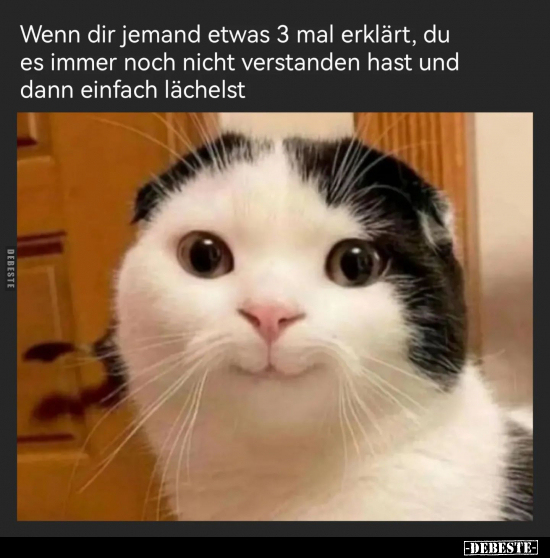 Wenn dir jemand etwas 3 mal erklärt, du es immer noch nicht.. - Lustige Bilder | DEBESTE.de