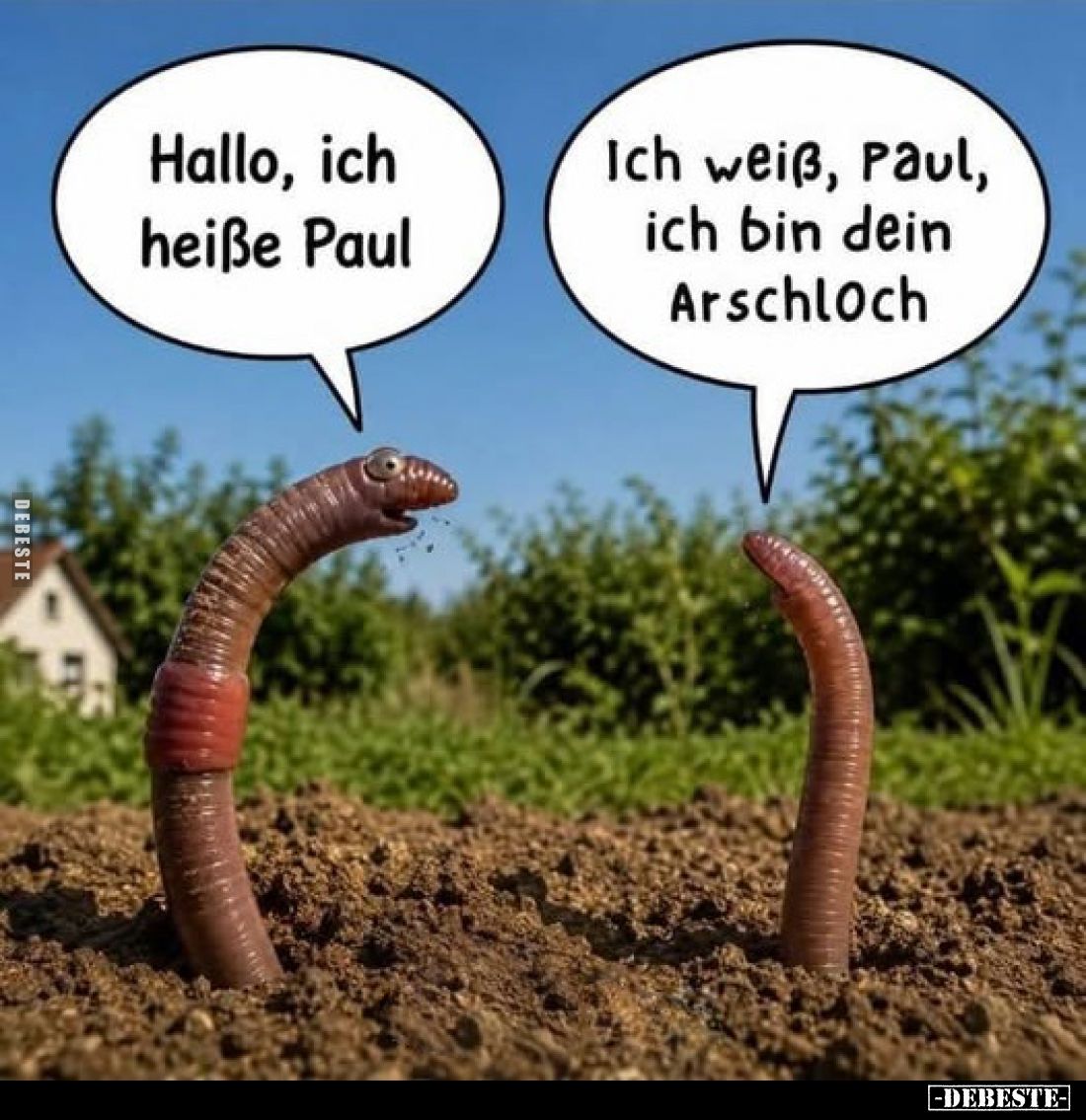 Hallo, ich heiße Paul
-
Ich weiß, Paul, ich bin dein Arschloch