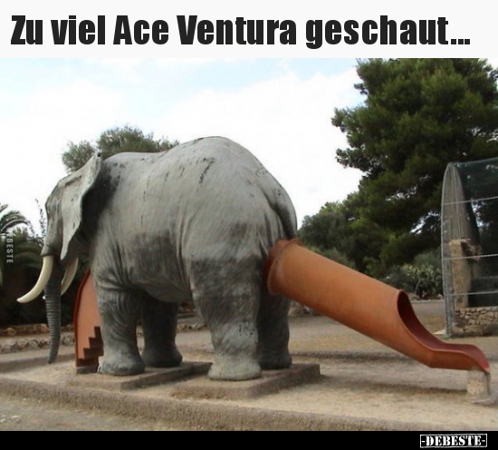 Zu viel Ace Ventura geschaut... - Lustige Bilder | DEBESTE.de