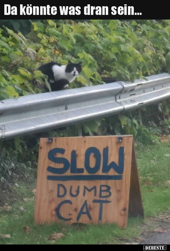 Da könnte was dran sein...