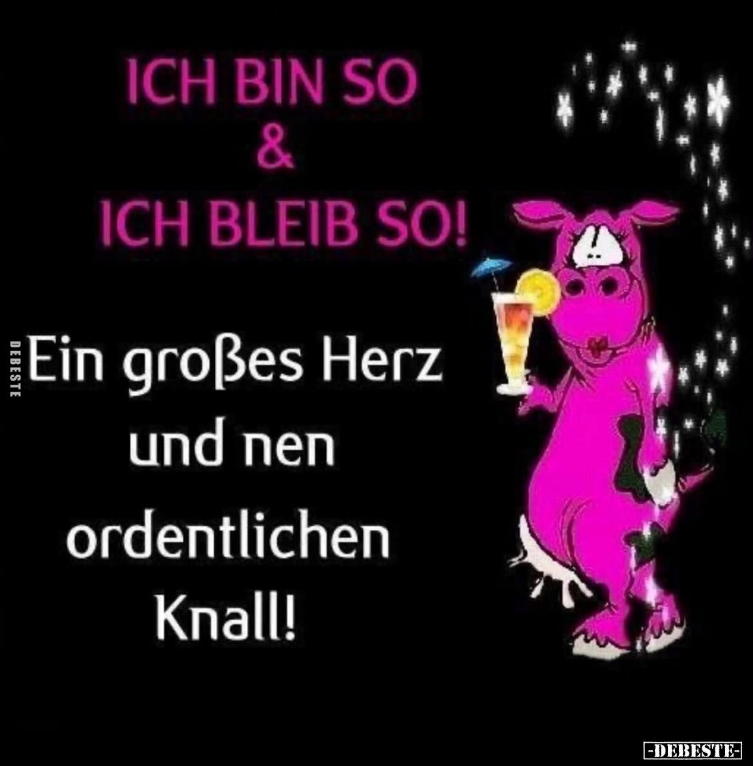 Ich bin so und ich bleib so!
Ein großes Herz und nen ordentlichen Knall!
Die Welt ist weder pink noch glitzert sie, Du däml...