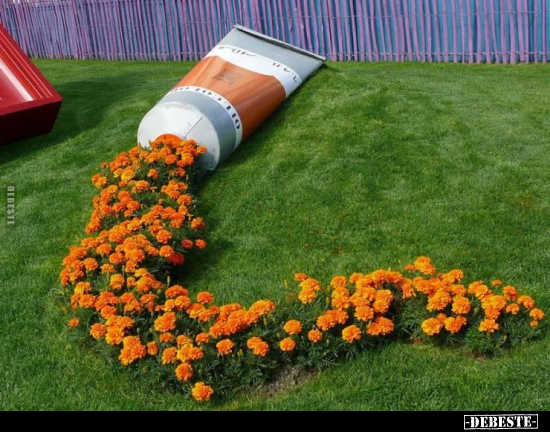  - Lustige Bilder | DEBESTE.de