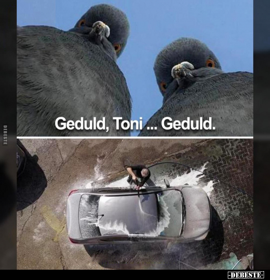 Geduld, Toni... Geduld... - Lustige Bilder | DEBESTE.de