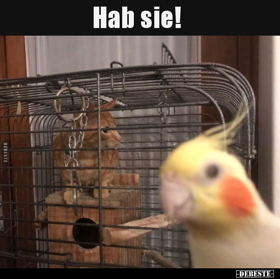 Hab sie!..