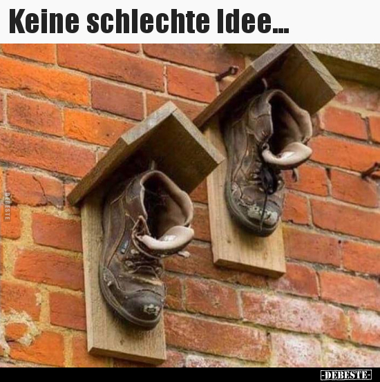 Keine schlechte Idee... - Lustige Bilder | DEBESTE.de