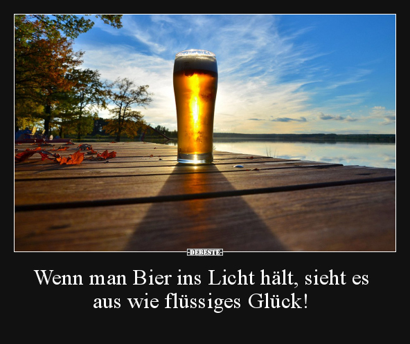 Wenn man Bier ins Licht hält.. - Lustige Bilder | DEBESTE.de