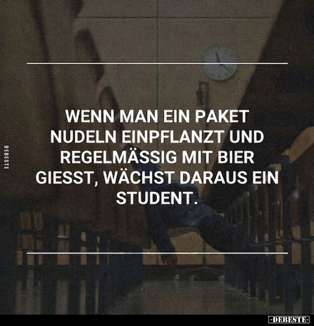 Wenn man ein Paket Nudeln einpflanzt und regelmässig mit Bier giesst, wächst daraus ein Student.