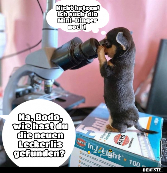 Nicht hetzen! Ich such' die Mini-Dinger noch!..