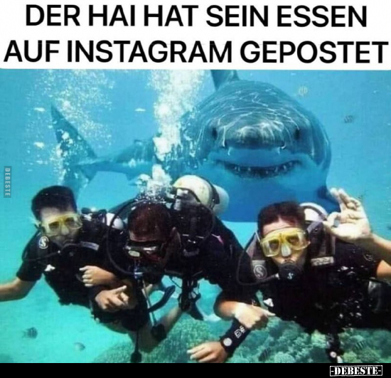 Der Hai hat sein Essen auf Instagram gepostet.. - Lustige Bilder | DEBESTE.de