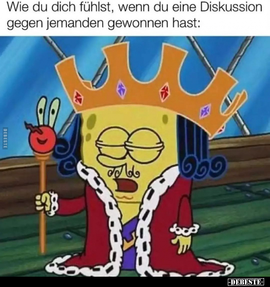 Wie du dich fühlst, wenn du eine Diskussion gegen jemanden..