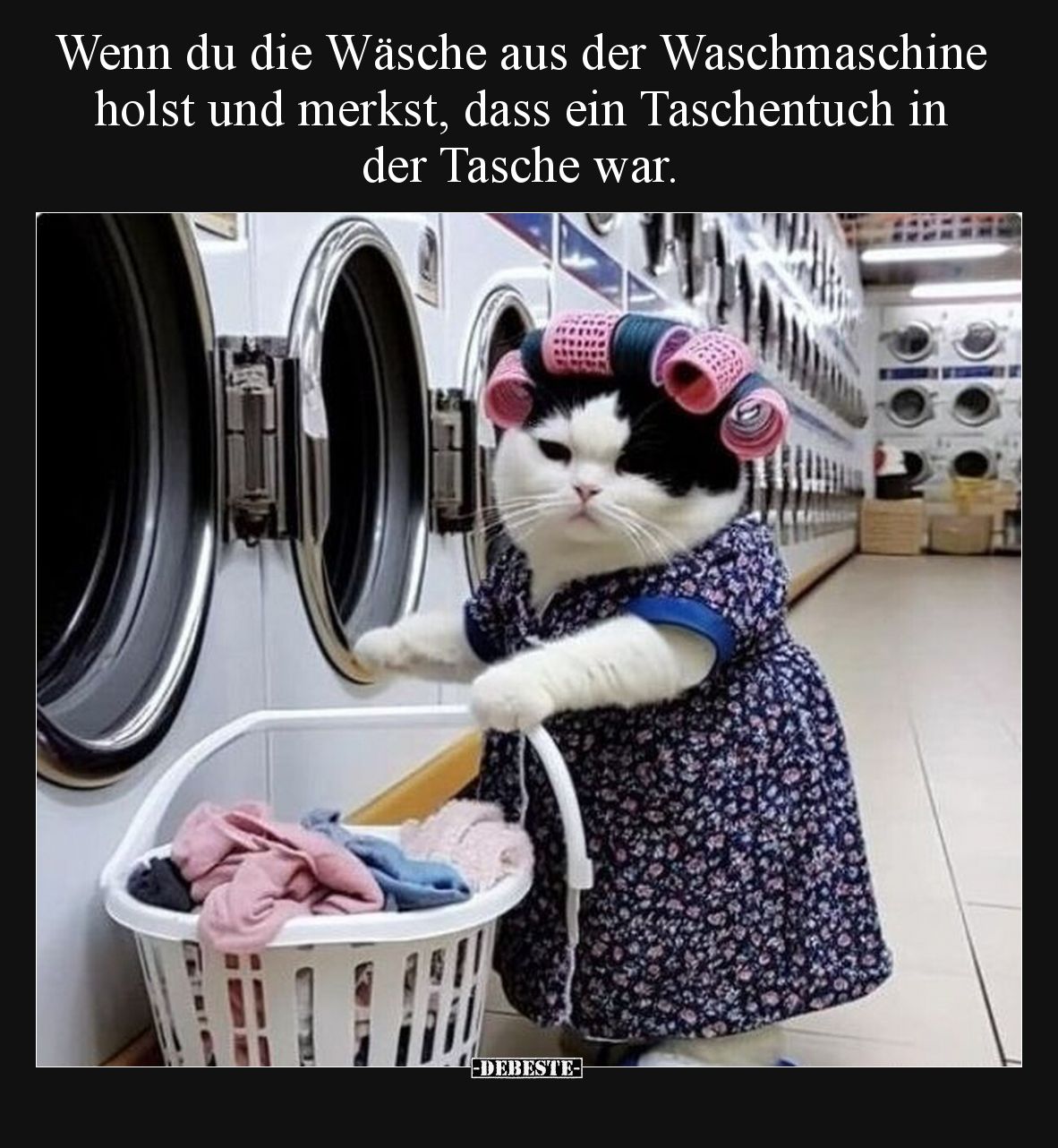 Wenn du die Wäsche aus der Waschmaschine holst und merkst.. - Lustige Bilder | DEBESTE.de