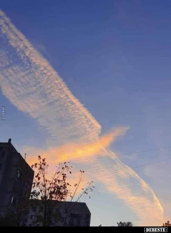  - Lustige Bilder | DEBESTE.de