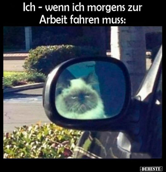 Ich - wenn ich morgens zur Arbeit fahren muss.. - Lustige Bilder | DEBESTE.de