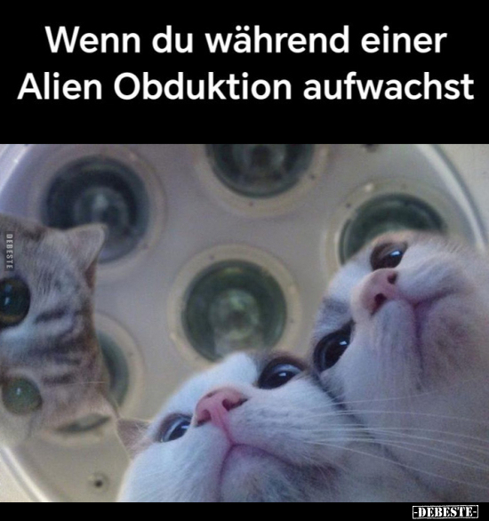 Wenn du während einer Alien Obduktion aufwachst... - Lustige Bilder | DEBESTE.de