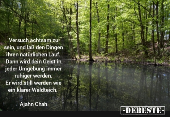 Ajahn Chah - Waldteich - Lustige Bilder | DEBESTE.de