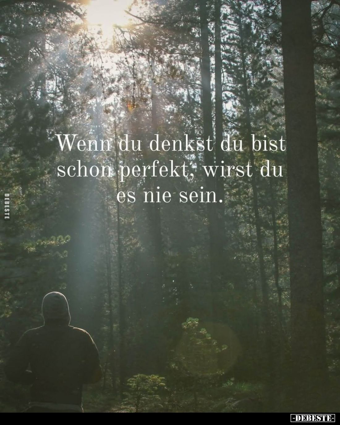 Wenn du denkst du bist schon perfekt, wirst du es nie sein.