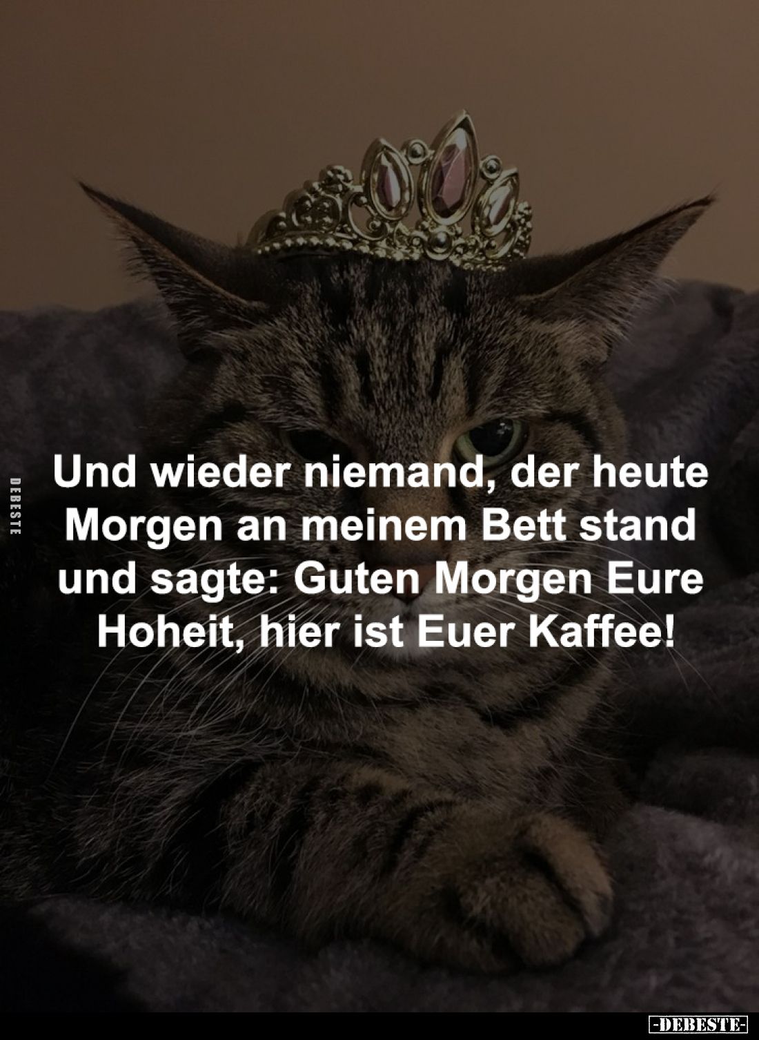 Und wieder niemand, der heute 
Morgen an meinem Bett stand 
und sagte: Guten Morgen Eure 
Hoheit, hier ist Euer Kaffee!