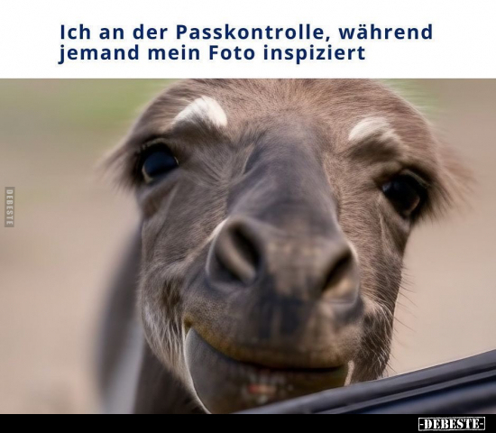 Ich an der Passkontrolle, während jemand mein Foto.. - Lustige Bilder | DEBESTE.de