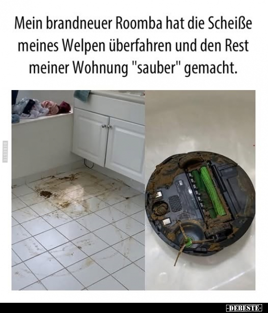 Welpen, Wohnung