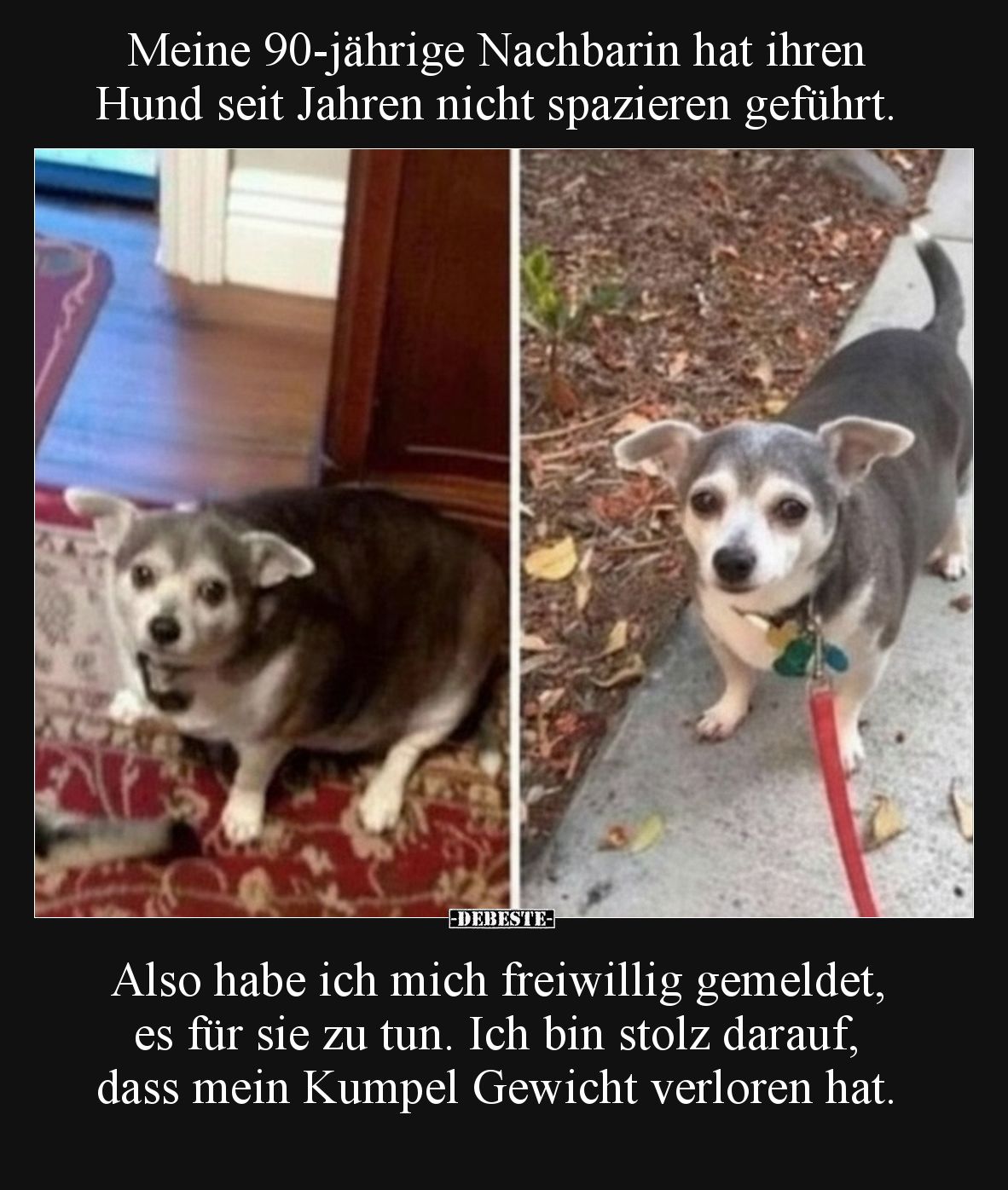 Meine 90-jährige Nachbarin hat ihren Hund seit Jahren nicht spazieren geführt.
Also habe ich mich freiwillig gemeldet, es ...