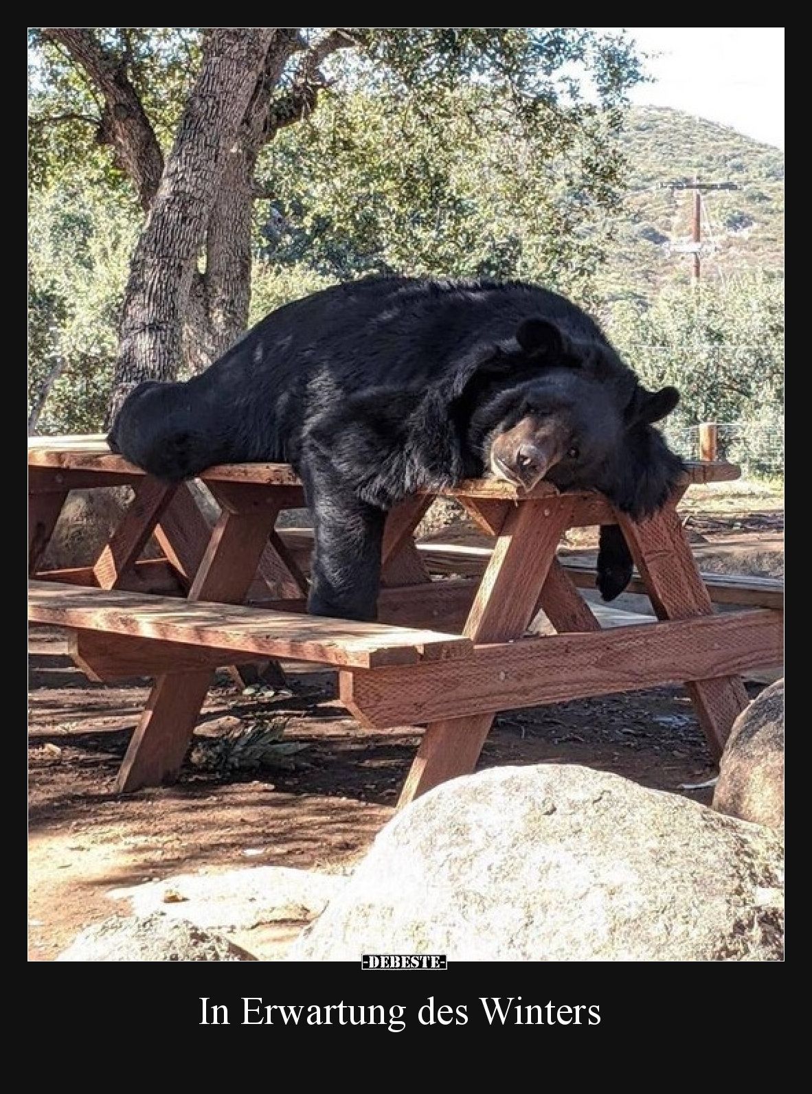 In Erwartung des Winters
