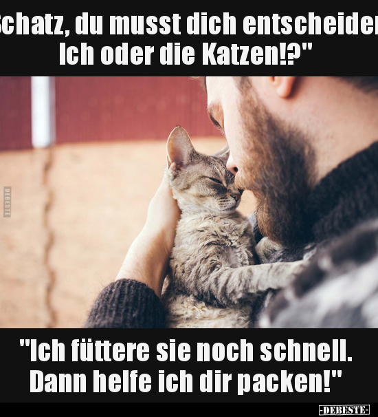 "Schatz, du musst dich entscheiden: Ich oder die Katzen!?".. - Lustige Bilder | DEBESTE.de