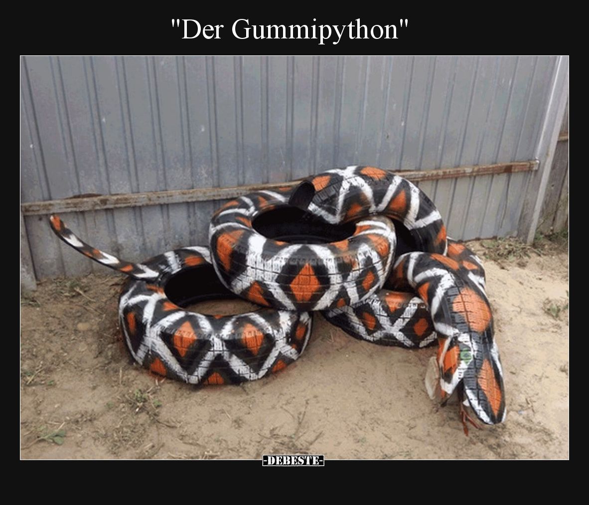 Der Gummipython